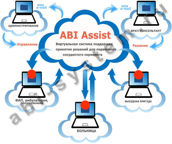 Система поддержки врачебных решений ABI Assist: информационная модель 